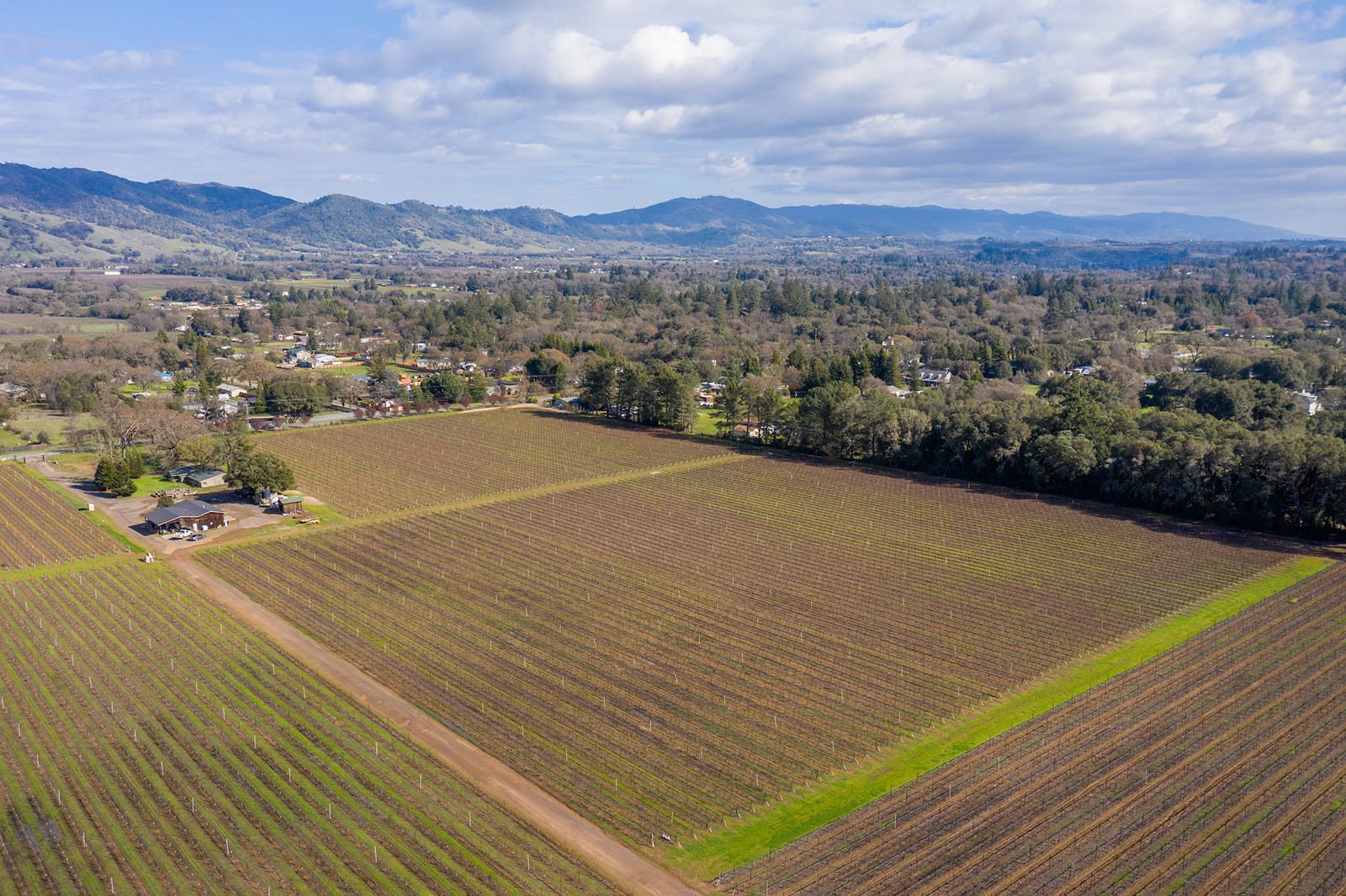 17 Acre Vineyard Redwood Valley