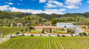Agricultural Landmark Property vineyard and winery