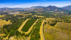 9160 CA 29 Upper Lake - Aerial View