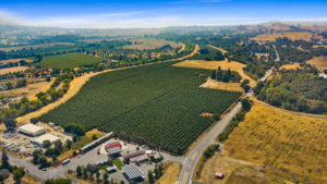 9160 CA 29 Upper Lake - Aerial View